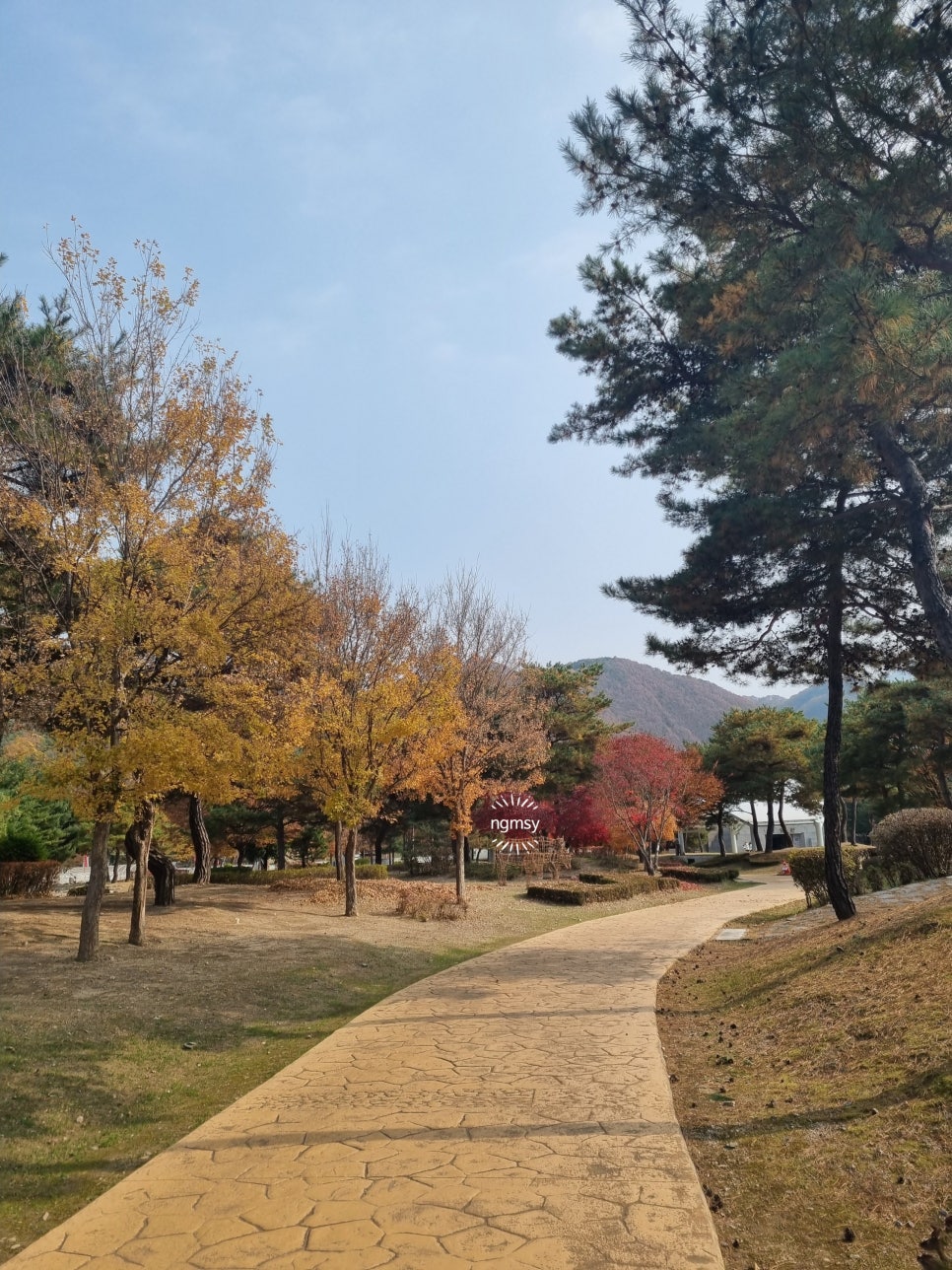 온달관광지 온달관 이미지