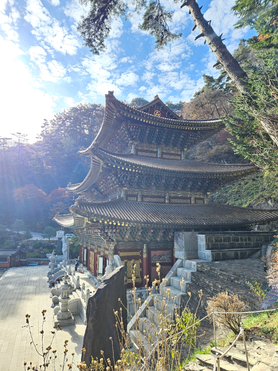 구인사 주차장 이미지