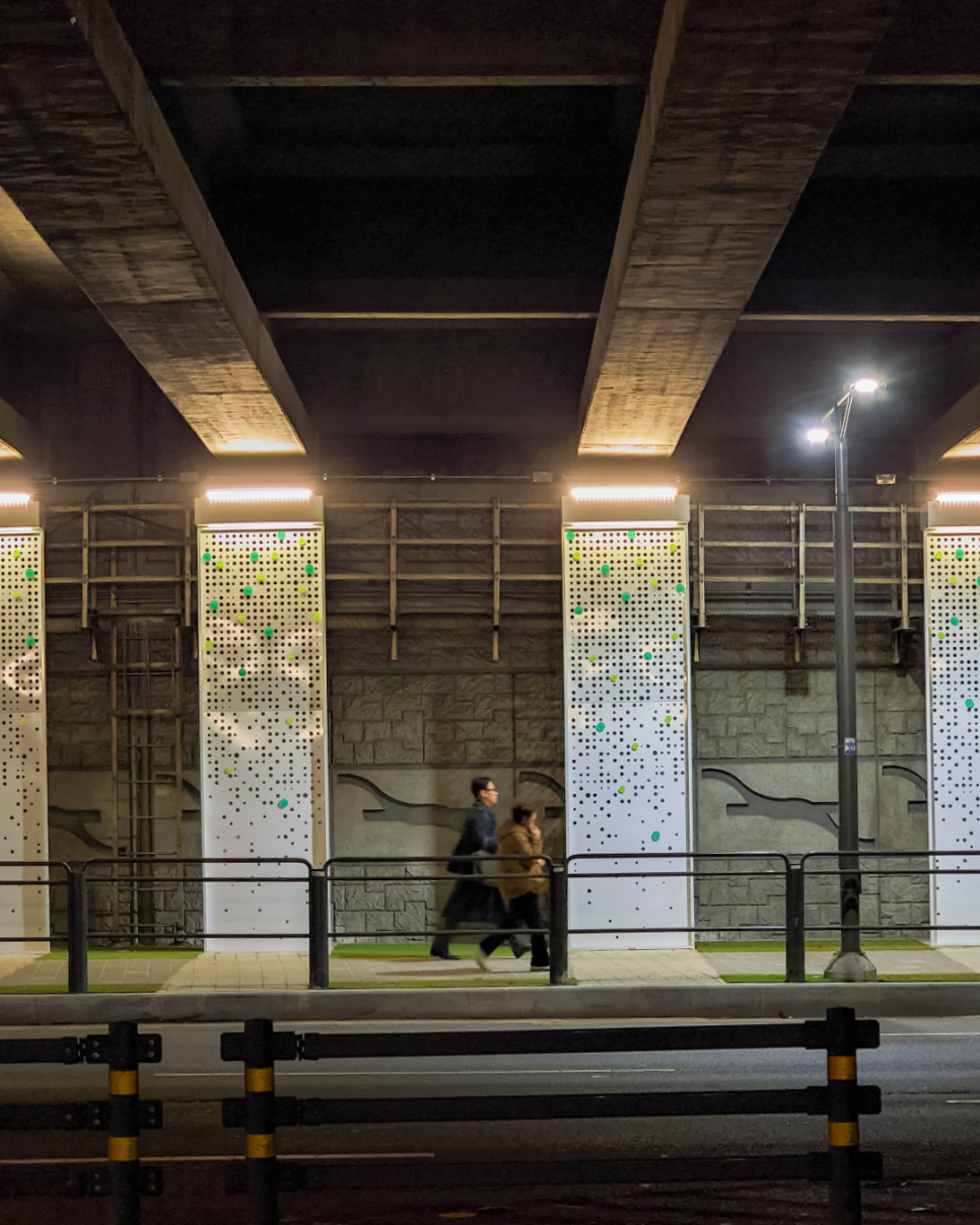 브로콜리 지역정보 관련 사진 1