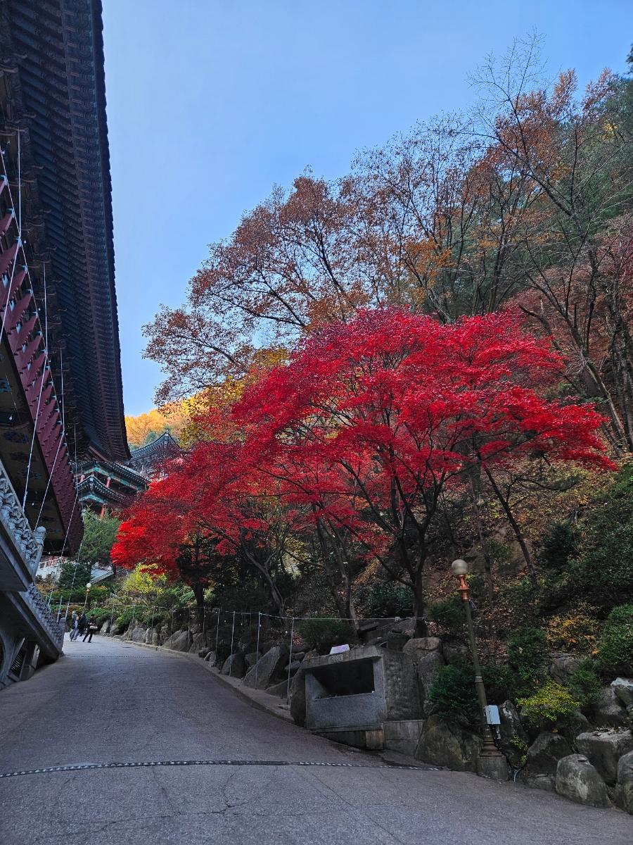 구인사 주차장 이미지