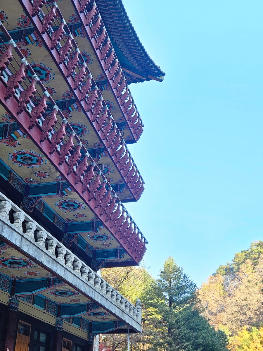 구인사 주차장 이미지