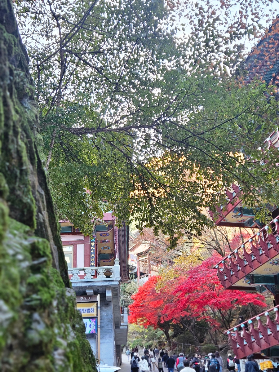 구인사 주차장 이미지