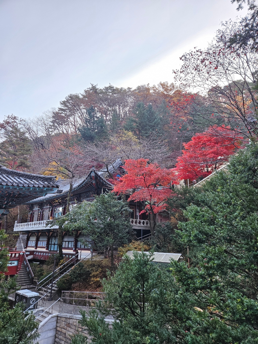 구인사 주차장 이미지