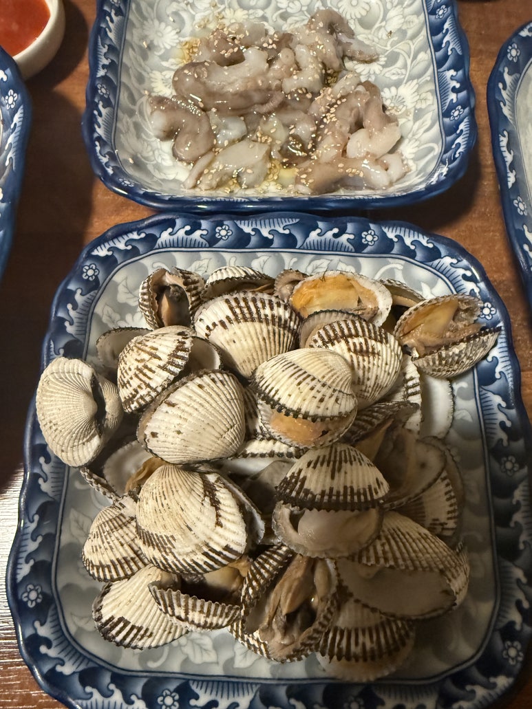포도나무 사진 8