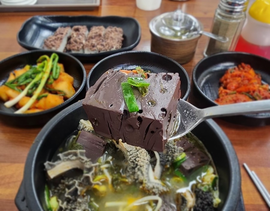 야간열차 사진 8