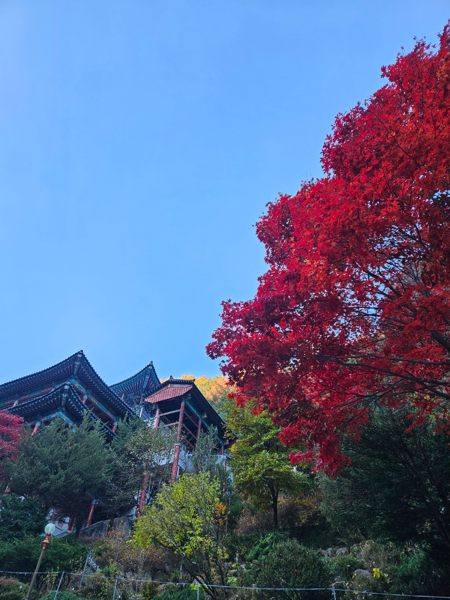 구인사 주차장 이미지