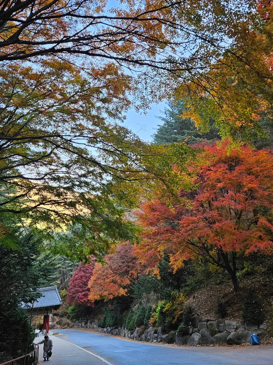 구인사 주차장 이미지