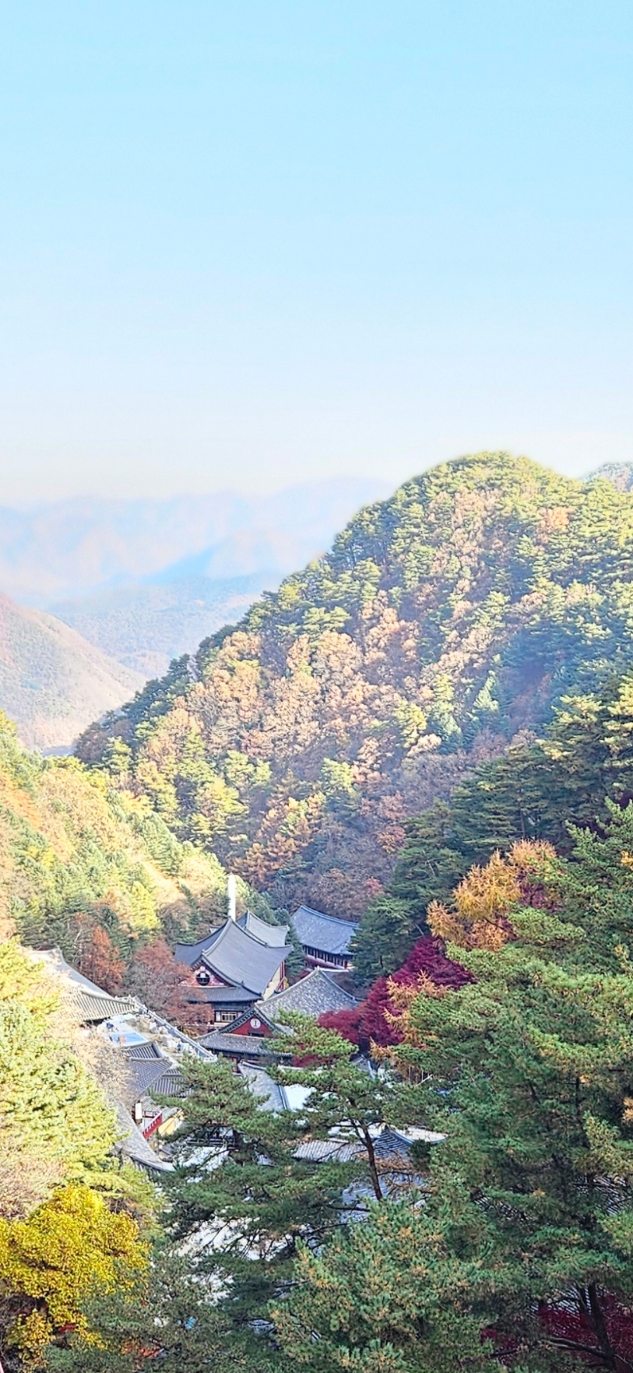 구인사 주차장 이미지