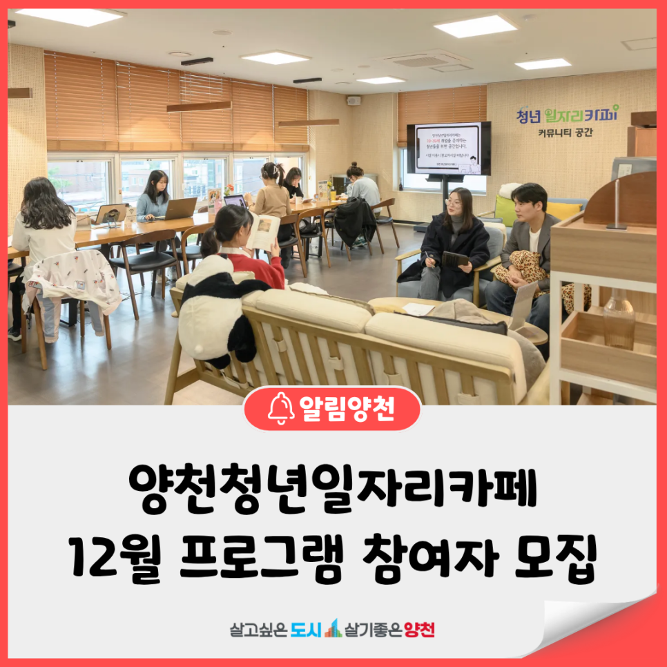 브로콜리 지역정보 관련 사진 16