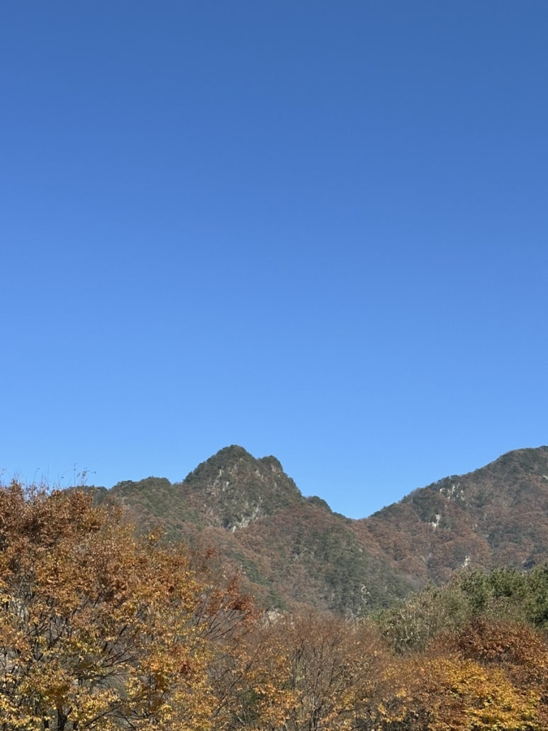 명성막국수 석갈비떡갈비 이미지