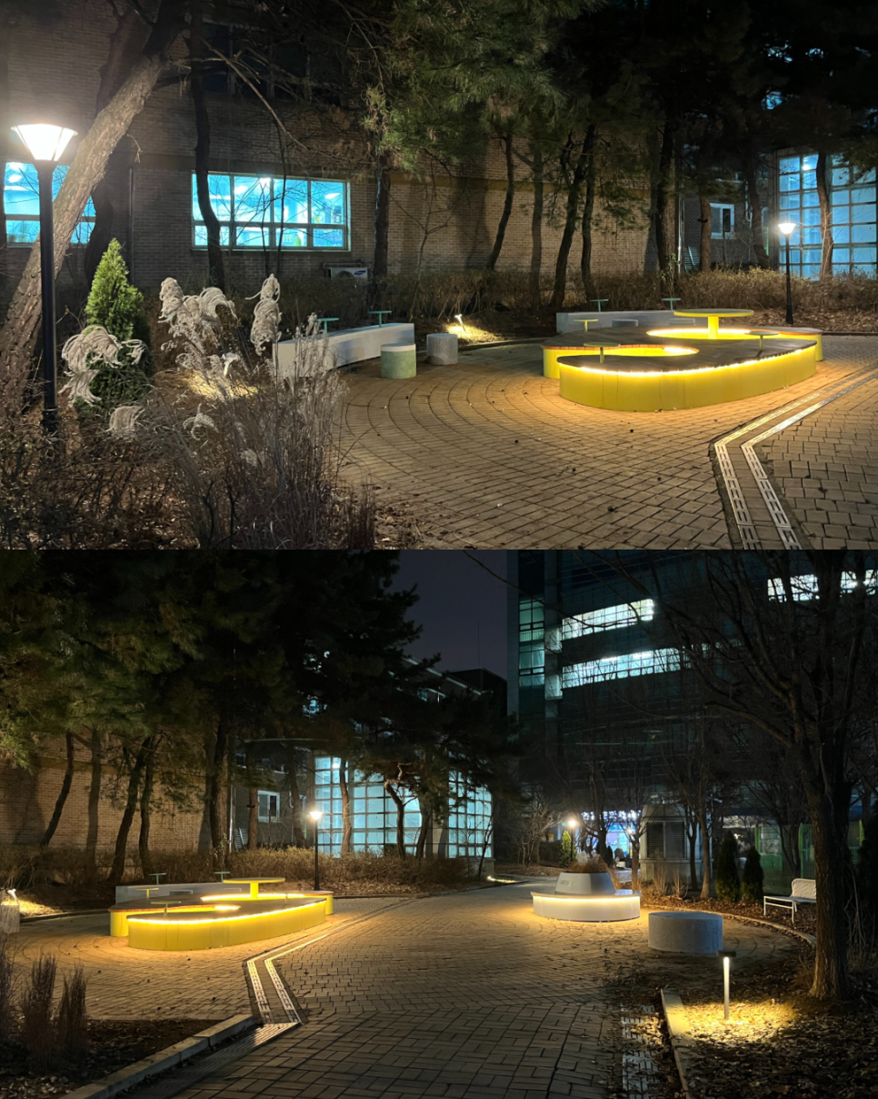 브로콜리 지역정보 관련 사진 5