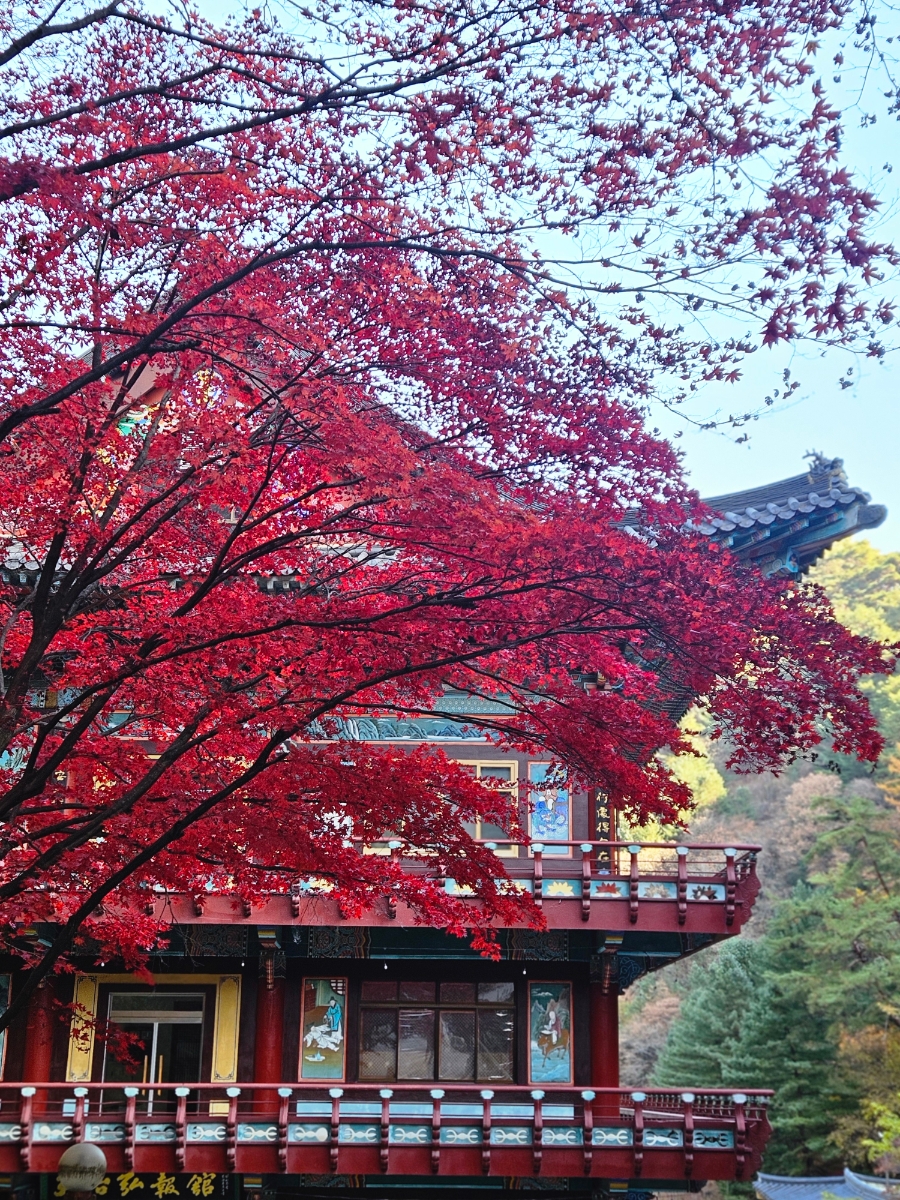 구인사 주차장 이미지