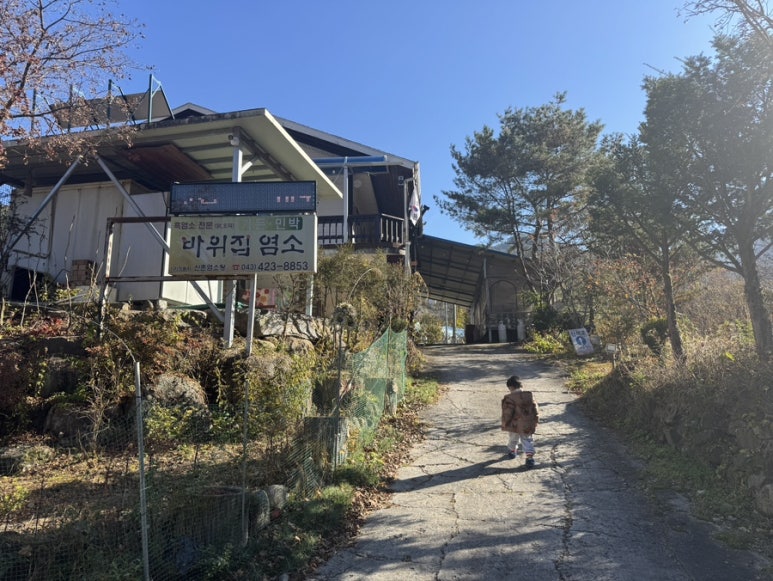 바위집염소 이미지