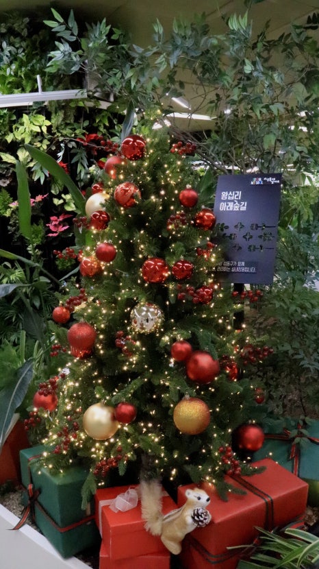 브로콜리 지역정보 관련 사진 5