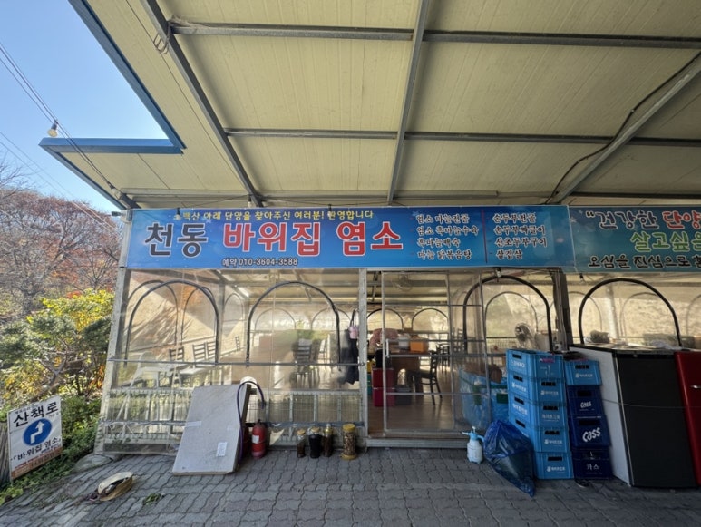 바위집염소 이미지