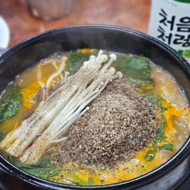 초원 사진 8