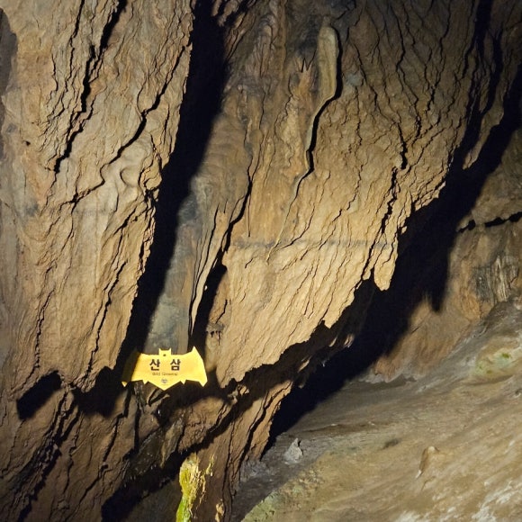 온달동굴 이미지