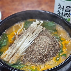 초원 사진 7