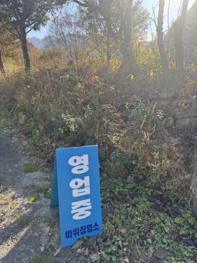 바위집염소 이미지