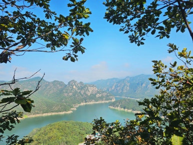 장회나루식당 이미지