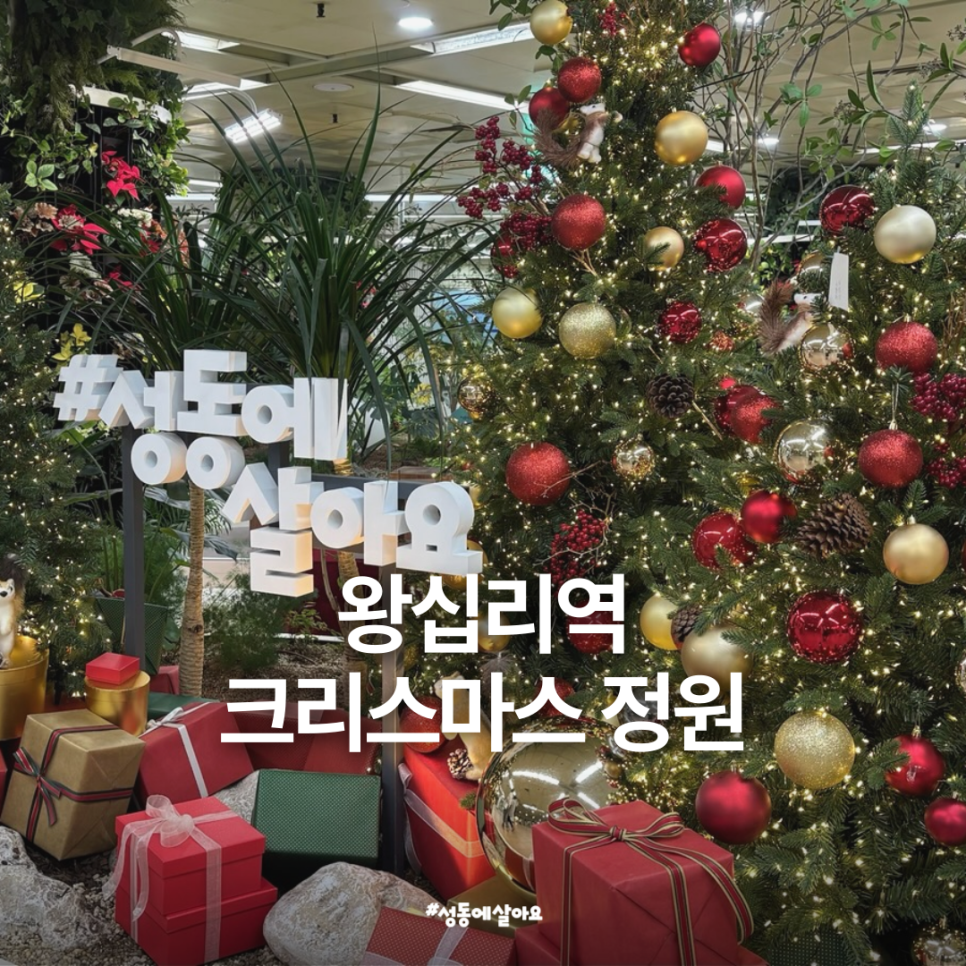 브로콜리 지역정보 관련 사진 1