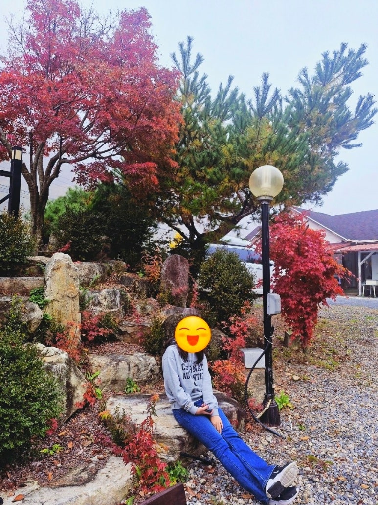 소선암자연휴양림 이미지