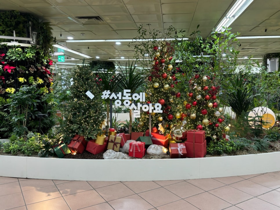 브로콜리 지역정보 관련 사진 2