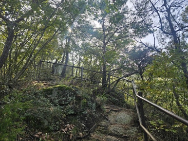 장회나루식당 이미지