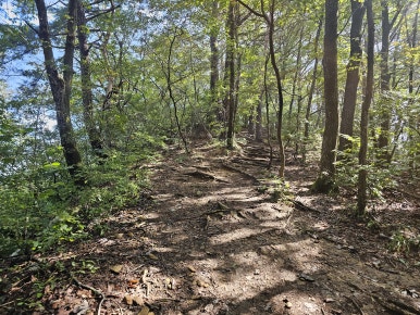 장회나루식당 이미지