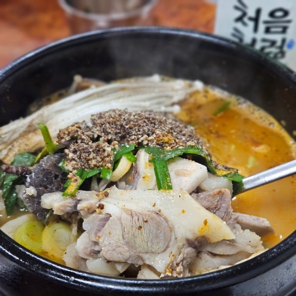 초원 사진 3