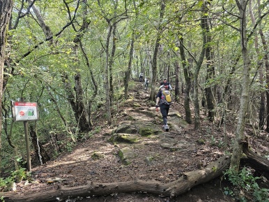 장회나루식당 이미지
