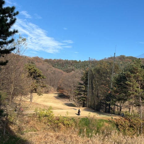 양수리매운탕 사진 6