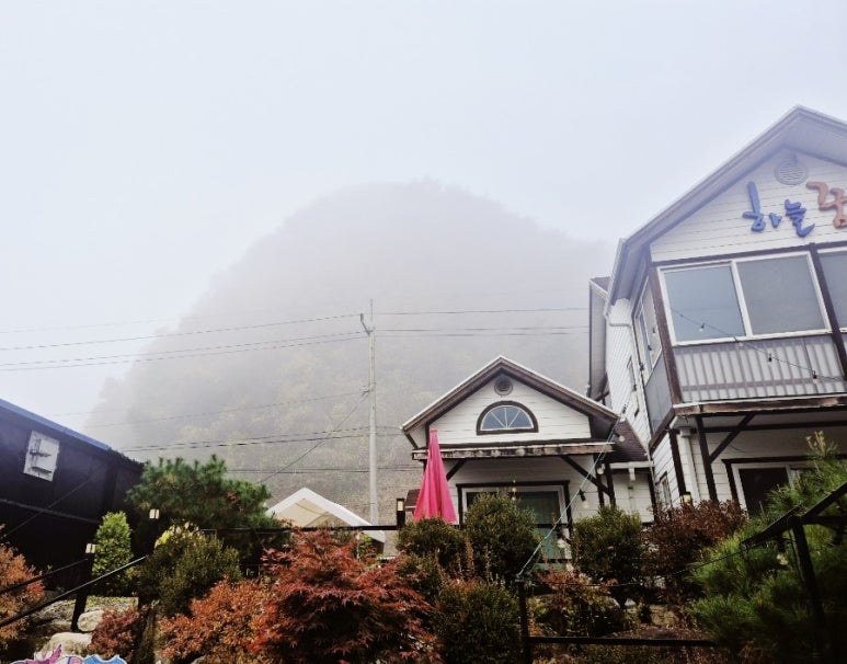 소선암자연휴양림 이미지