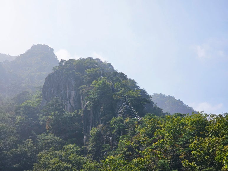 장회나루식당 이미지