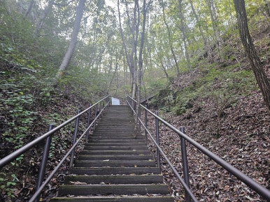 장회나루식당 이미지