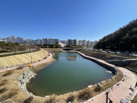 브로콜리 지역정보 관련 사진 4