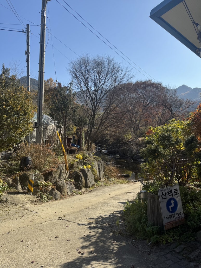 바위집염소 이미지