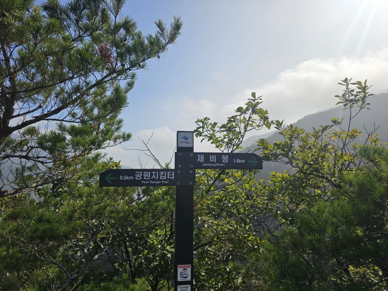 장회나루식당 이미지