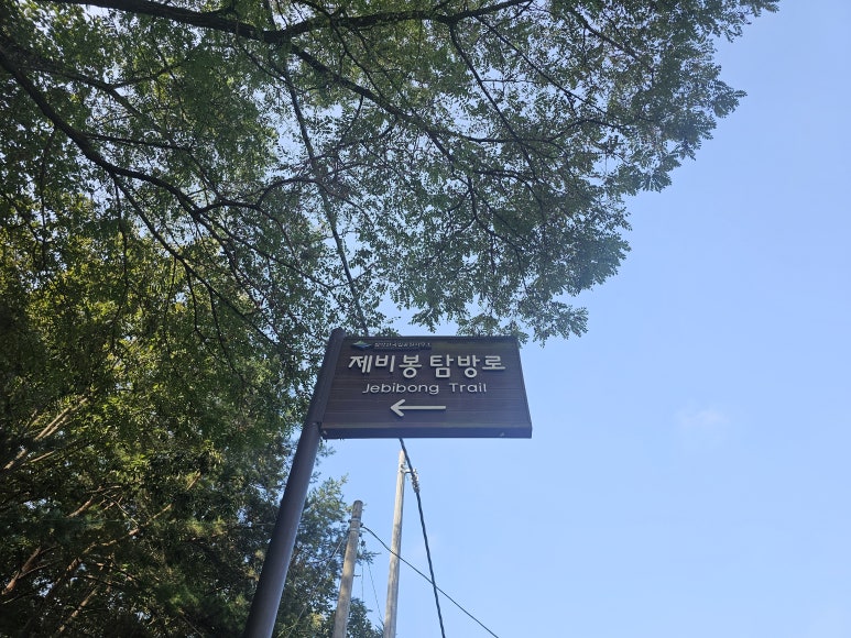 장회나루식당 이미지