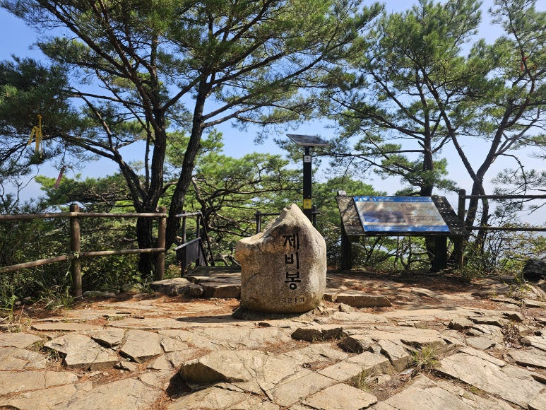 장회나루식당 이미지