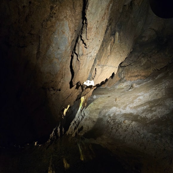 온달동굴 이미지