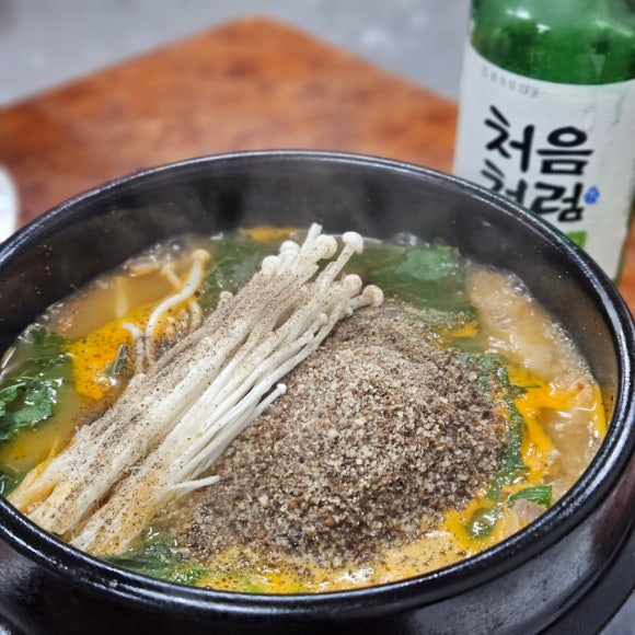 초원 사진 5