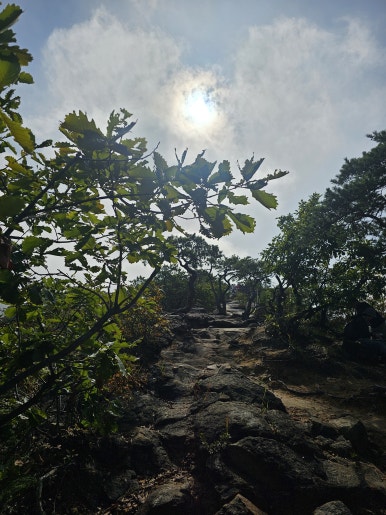 장회나루식당 이미지