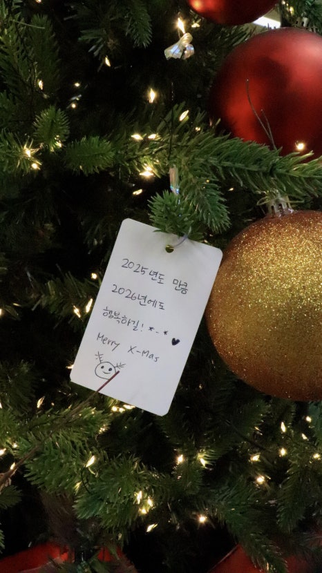 브로콜리 지역정보 관련 사진 4