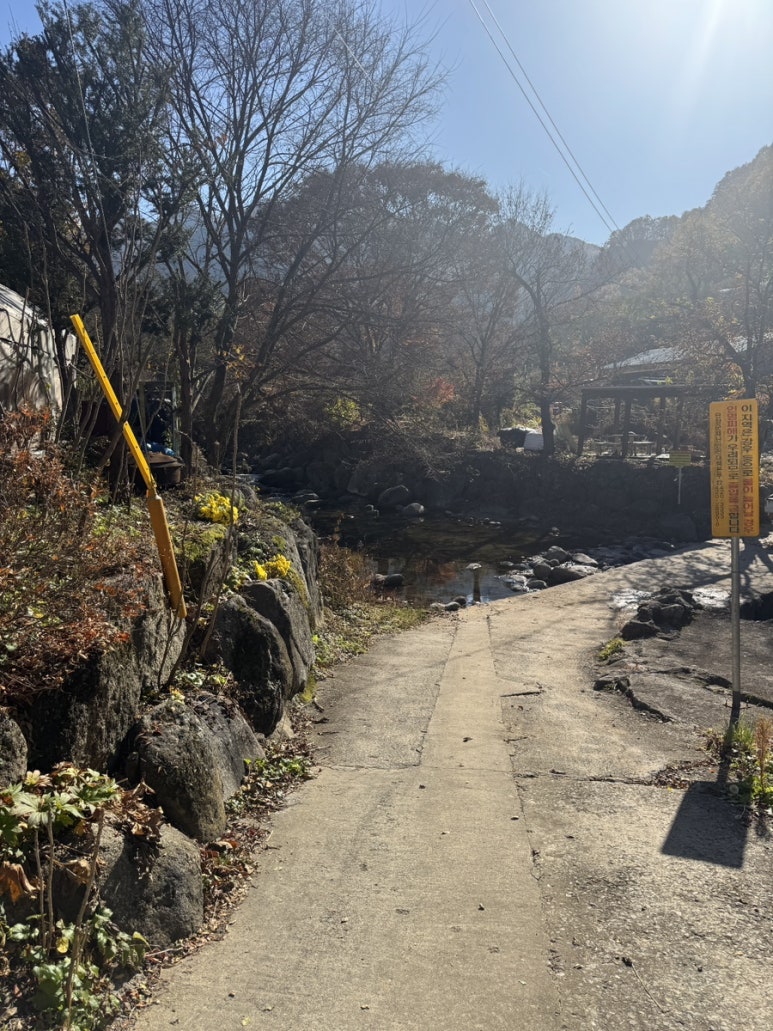 바위집염소 이미지