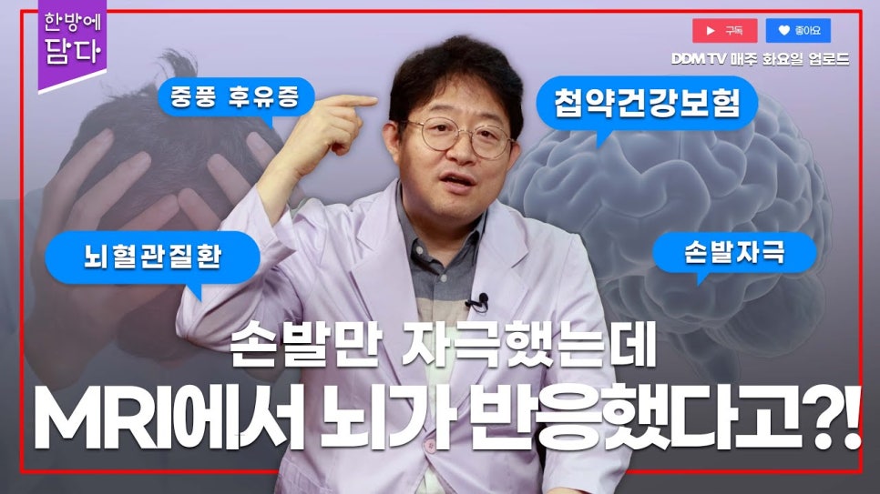 브로콜리 지역정보 관련 사진 17