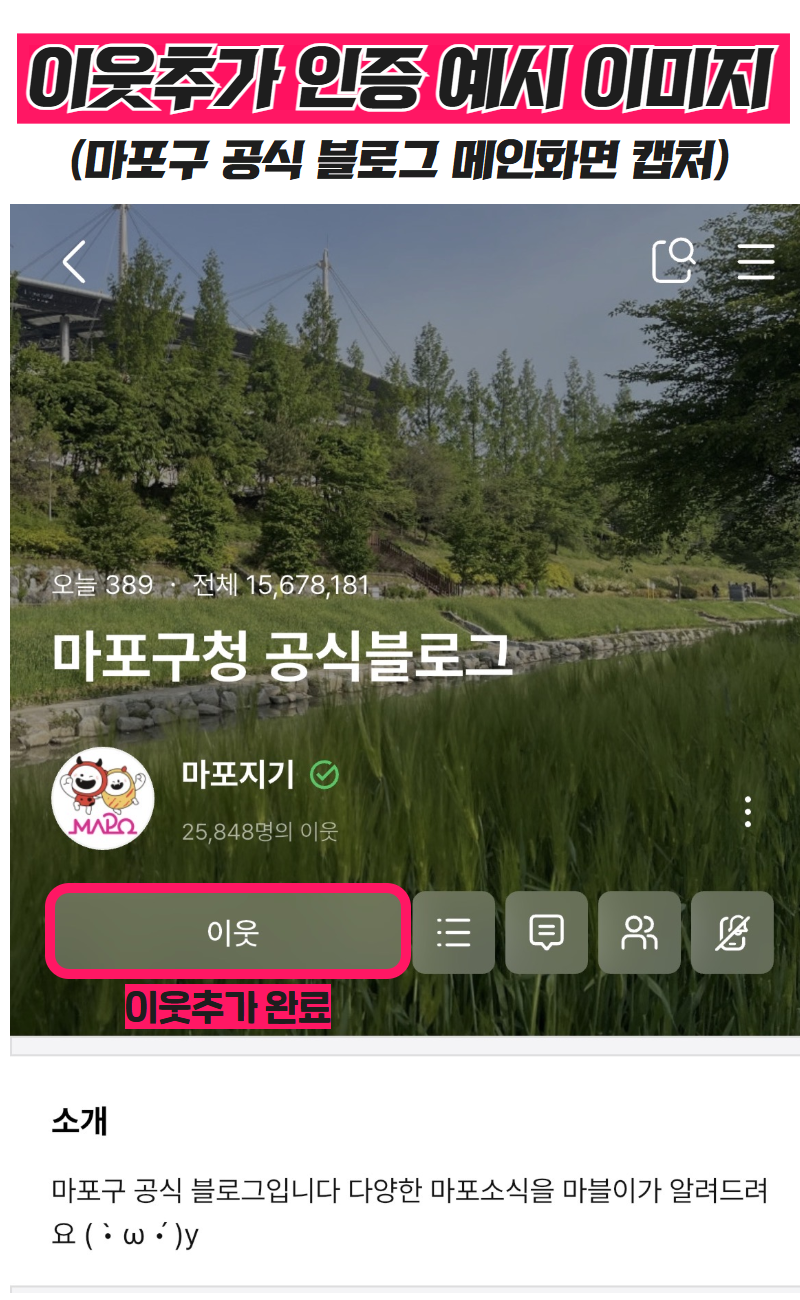 브로콜리 지역정보 관련 사진 3