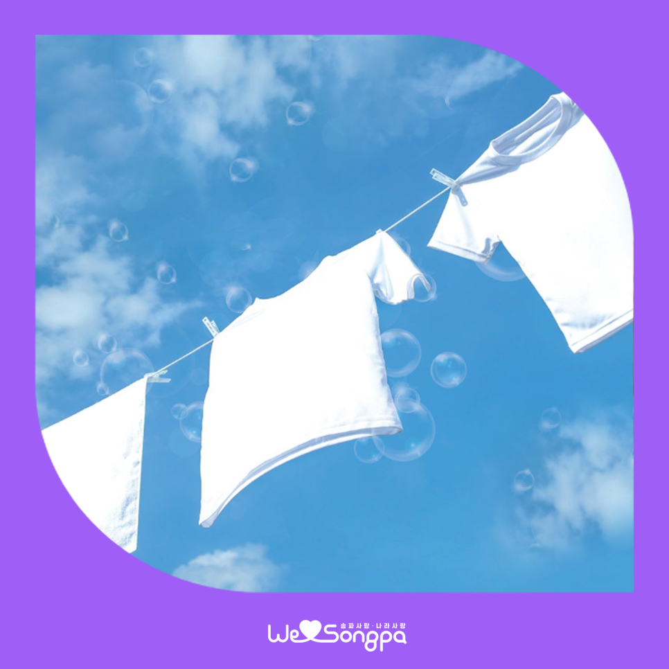 브로콜리 지역정보 관련 사진 1