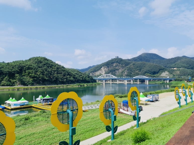 흑마늘황기명태 이미지