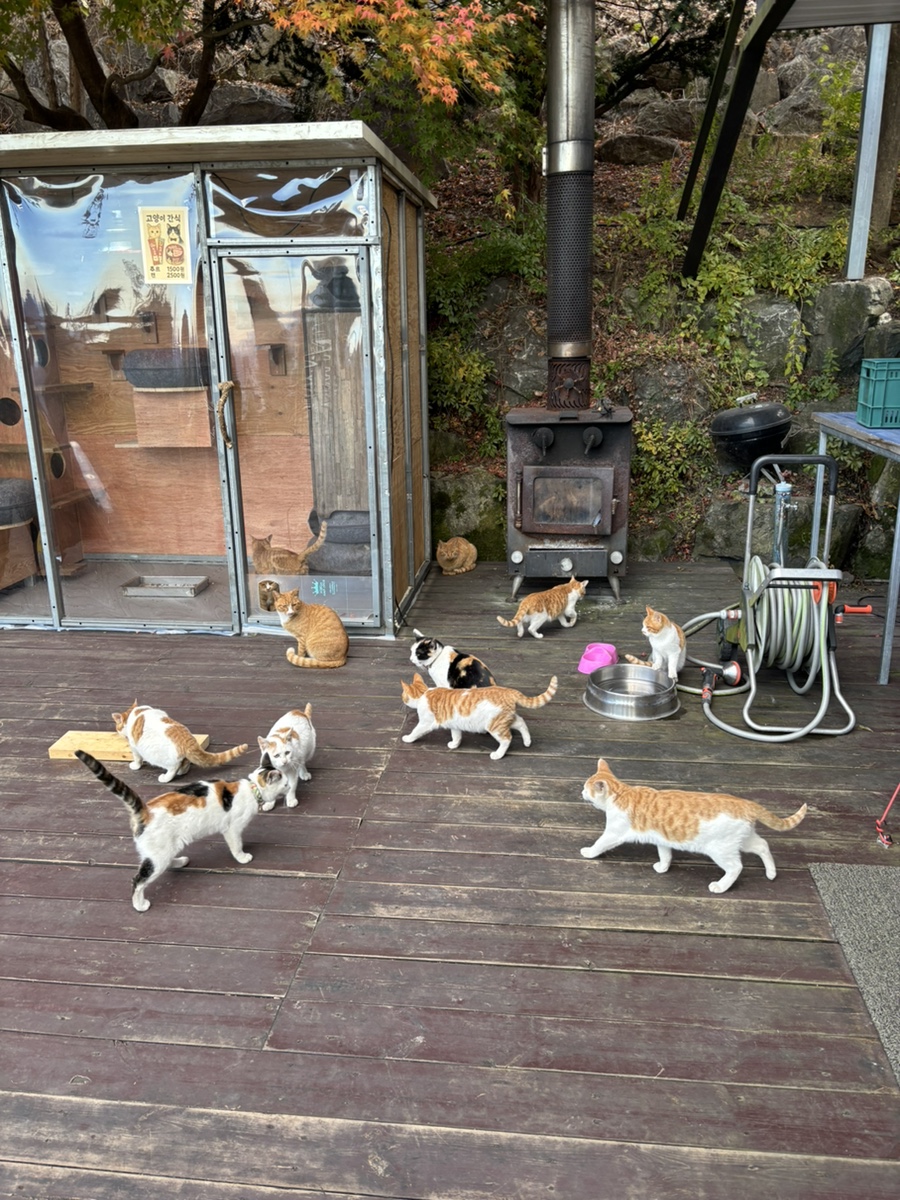 구름위의 산책 이미지